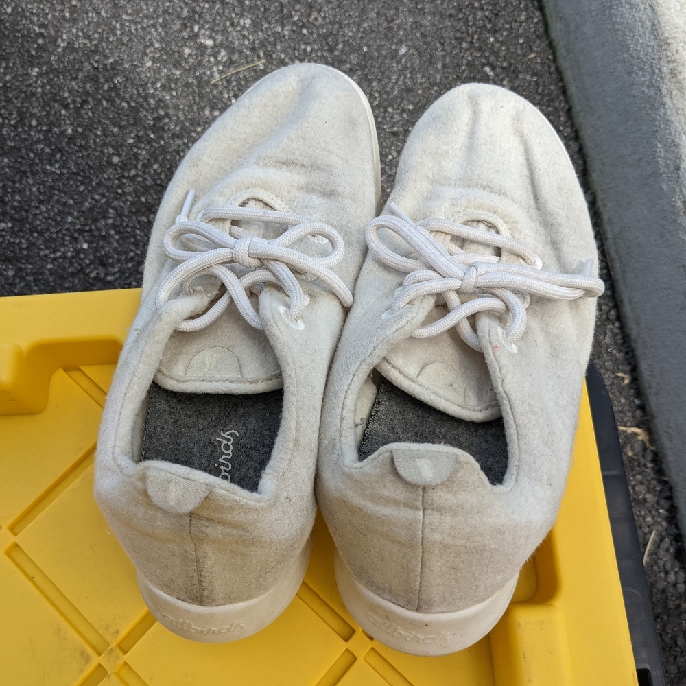AllBirds Wool Sneakers